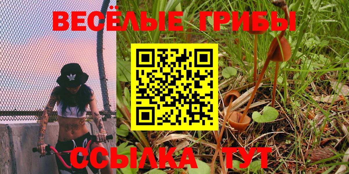 Галлюциногенные грибы мухоморы Калач-на-Дону