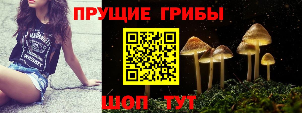 цена   Вход с VPN  Калач-на-Дону  Псилоцибиновые грибы MAGIC MUSHROOMS 